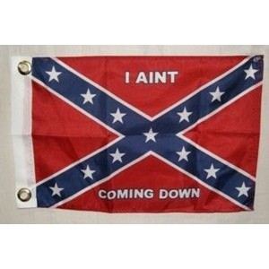 I AINT COMING DOWN 12" X 18" FLAG